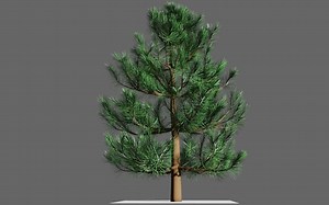 blender学习笔记 sapling tree gen 大树生成器