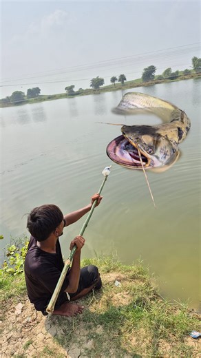 1.3M views · 7.4K reactions | Unbelievable technique catching underwater big fish #fish #fishing #video #reels | Discovery Site | Facebook