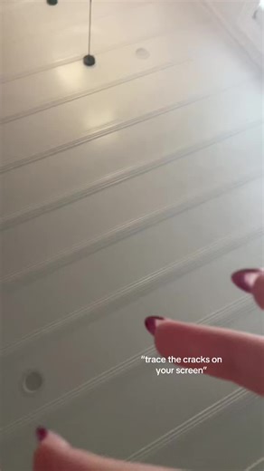 Discover the Joy of Having a Dachshund Puppy