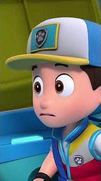 Ours coincé sur la pente! | #pawpatrol #lapatpatrouille