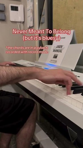 Donner DEP-20 Digital Piano [Record Mode] Review by illyrianfingers