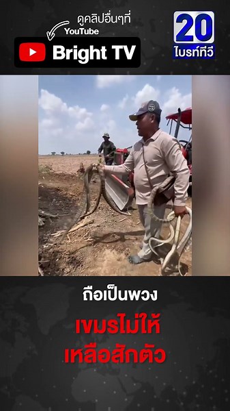 เขมรเหมือนดีใจ หัวเราะกันสนุก เจองู จับงูได้หลายตัว