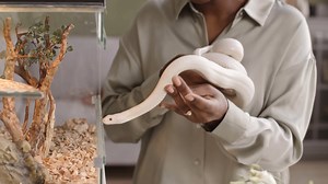 9.8K views · 59 reactions | Take your skills in exotic animal...