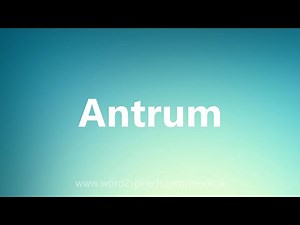 Antrum - Medical Definition