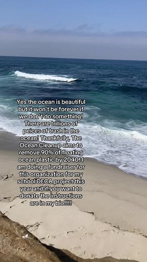 Donations for Ocean Cleanup Fundraiser