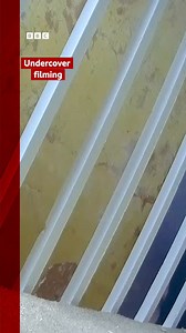 Warning: This footage contains strong and offensive language. This is the moment a BBC reporter confronts a member of far-right organisation Patriotic Alternative about his extremist views. During secret filming, Aaron Watkins said migrants should be rounded up into camps, adding that “if they refuse to leave, we shoot them. The people who come here are parasites." Mr Watkins told the BBC’s undercover reporter that anti-terrorism detectives did not find any evidence against him when they investi