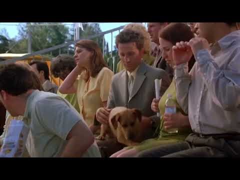 Garfield O Filme parte 11 - Filme completo e dublado em português