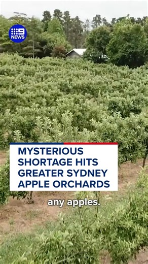 12K views · 123 reactions | NEWS: Bilpin has a problem, and nobody...