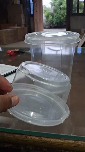 Clear Plastic Disposable Food Storage Container