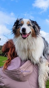 Who else has an overly dramatic dog in their life? | KIIS 97.3FM