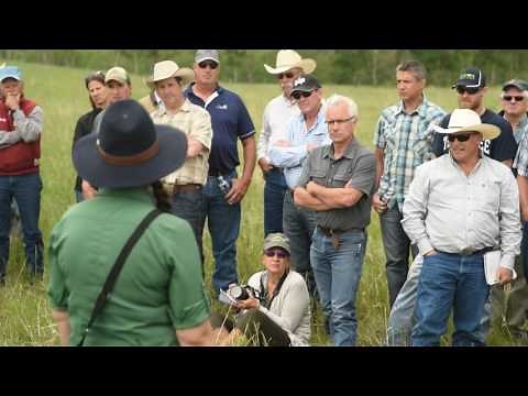 How to monitor soil health and bio stimulants using a refractometer.