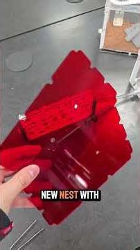 Giving my Ant Colony a Setup They DESERVE!