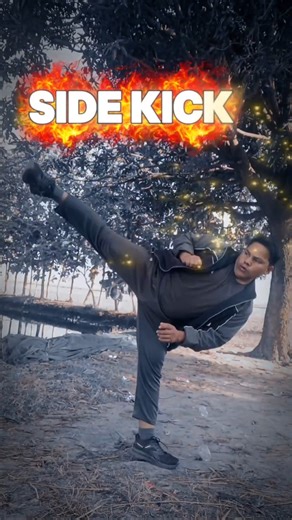 Side Kick tutorial #mma #martialarts #kickboxing #brucelee #kick #tutorial #training