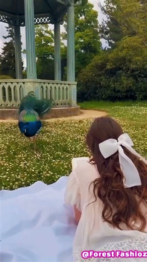 A Fairytale Walk Among the Peacocks | Dreamy Garden Aesthetic #shorts