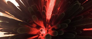 DRY LIGHTS
