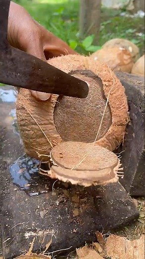 smart way to remove dry coconut from its shell