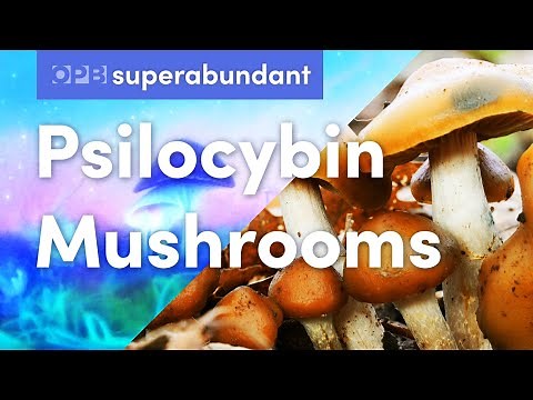 Psilocybin mushrooms, the psychedelic underground & community care in Oregon | Superabundant S2 E6
