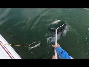 fishing was on fire at keyhole res Wyoming