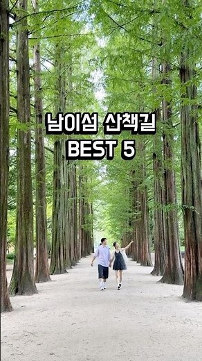남이섬 산책길 BEST5 🌲