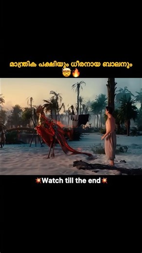 മാന്ത്രിക പക്ഷിയും ധീരനായ ബാലനും..#malayalam #movie #shortvideo #shorts