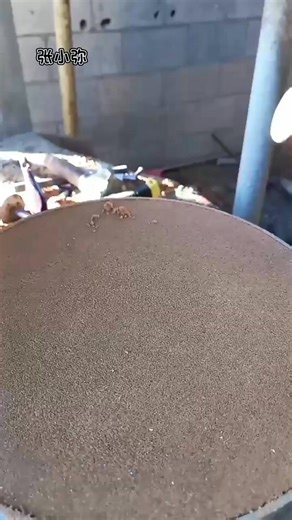 Looking for treasure at the beach! 🏖️✨ Who else loves searching for shells? #BeachVibes #OceanSecrets | Rheta Bodrogi