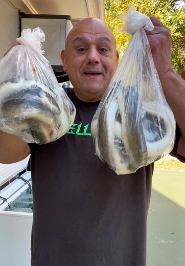 Best Catfish Bait! American Eel! #noflyzonefishing @No Fly Zone Fishing #chunky20