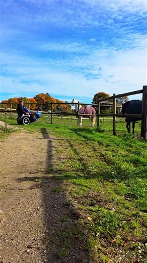 Innovative mobility in the workplace! Another great video Mattias 🙌 @Adapt Ability #grablifebythewheels | Omeo Technology