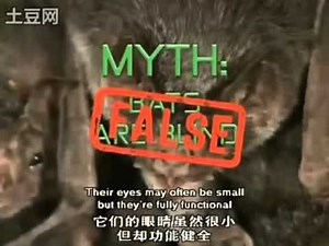 The Most Extreme - Animal Myths