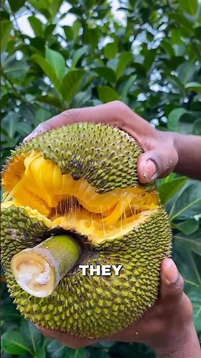 How Scientists Make Fruits Bigger, Juicier, and Seedless
