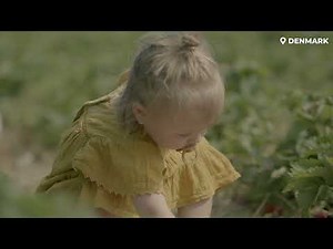 Greetings from The Land of Everyday Wonder | Discover Nature in Denmark