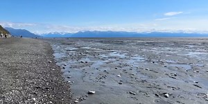 Sights & Sounds: Kincaid Park