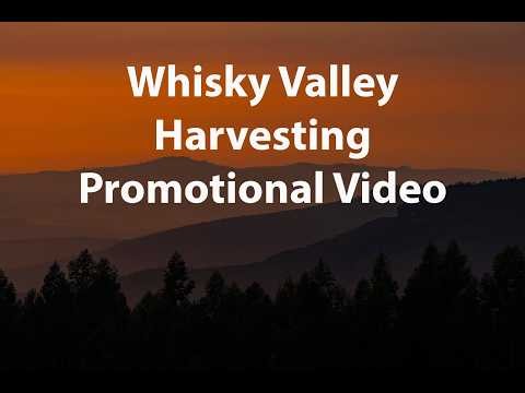 Whisky Valley Harvesting