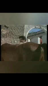 Chelelo Pelicula: La Yegua Colorada #humor #musica #cine #cinemexicano #chelelo #antonioaguilar #charro #ranchero #vaquero #caballos #gallos #entrepialesmontaycapotes | Entre piales monta y capotes