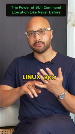 The Power of SUI Command Execution Like Never Before