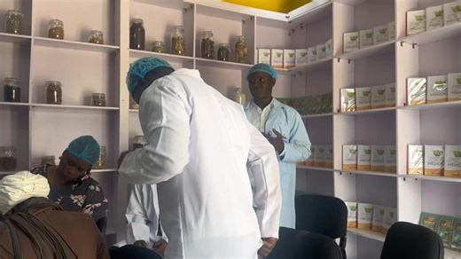 Exploring African Herbal Medicine Benefits