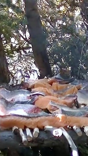 Building a fireplace to smoke fish and meat #survivalskills #alone