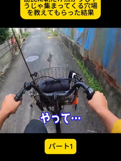 離島で発見！朝だけの魚の宝庫！