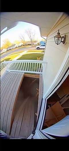 When the door dasher falls through the porch 🤣 #shorts #memes