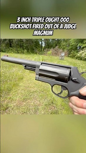 Taurus Judge Magnum