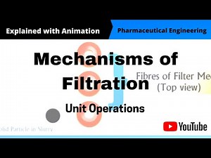 Mechanism of Filtration (Animation)