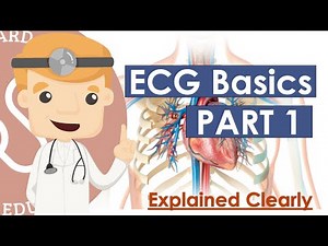 ECG Basics Part 1 - Lead Placement, Limb Vs Precordial, Vectors, Intervals, Rate | Essentials