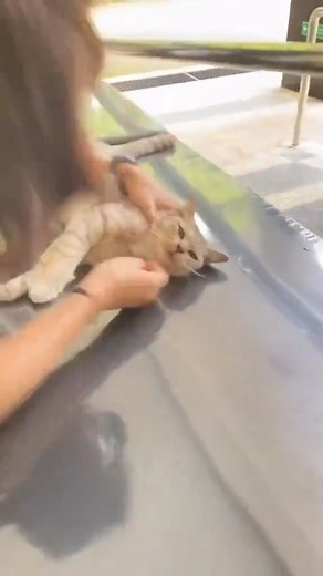 25K views · 655 reactions | The calmest patient in hospital history.梁 | WeirdKaya | Facebook