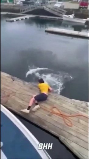 EPIC FUNNY FAILS 2023 | # 7 | EPIC FAILS COMPILATION VIDEOS