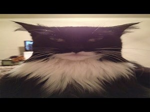 1 bit 2 bits 4 bits 8 bits 16 bits 32 bits 64 bits 128 bits (Batman)