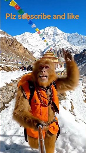 “Hyper Realistic Monkey Travel Vlog 🐒 | Funny Monkey Vlogging in Himalayas | Cinematic 4K” #shorts