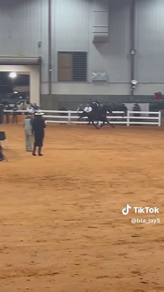 I’m Rip Wheeler‼️#horsesoftiktok #fybシ #horses #stb #mississippi #rackinghorse #speed