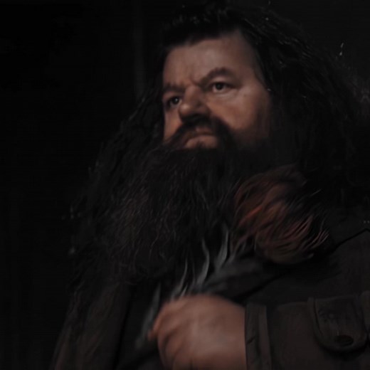 Daddy Hagrid. #hagrid #rubeushagrid #daddyhagrid #fyp #harrypotter @toby ✩ @ᴠɪꜱᴇʀɪᴏɴ ꜰx @katie @alina⋆˙⟡ ݁ @leo ★ @toby (sirius’ version) ✩ @𝐄ᥣ𝗂𐓣 ೀ @Evemi @𝐉𝐞𝐥𝐥𝐲⚡︎ @𝑀𝑜𝑜𝓃𝓎 ೀ @darcawayϟ @evansx (moony’s version) @🐟 @𝐷𝑎𝑣𝑖𝑑 @𝐃𝐚𝐯𝐢𝐝 𝐭𝐡𝐞𝐰𝐥𝐢𝐬★ @Dina @giadaseditz @𝐈𝐫𝐢𝐬 ♔ @moonys.mug