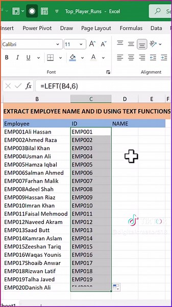 Efficient Employee Data Cleaning Techniques in Excel