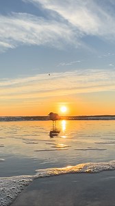 984 reactions · 150 shares | ✨❄️ Brrrrrr from Surfside Beach, South...