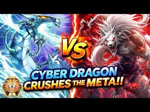 Master 1 Pure Cyber Dragon | Gameplay Breakdown